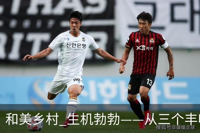 和美乡村 生机勃勃——从三个丰收故事看乡村全面振兴好势头